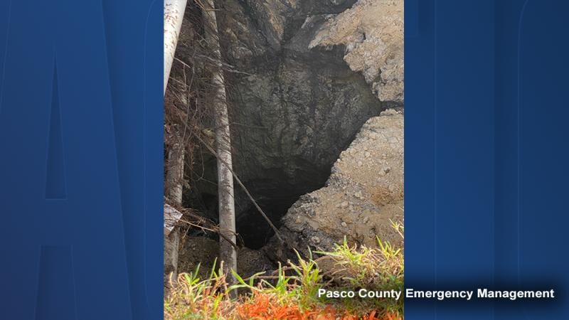 Florida sinkhole