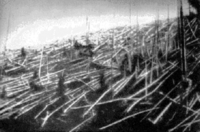 Fallen trees at Tunguska in 1927