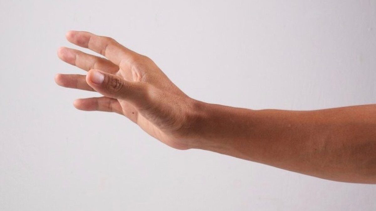 Human Arm