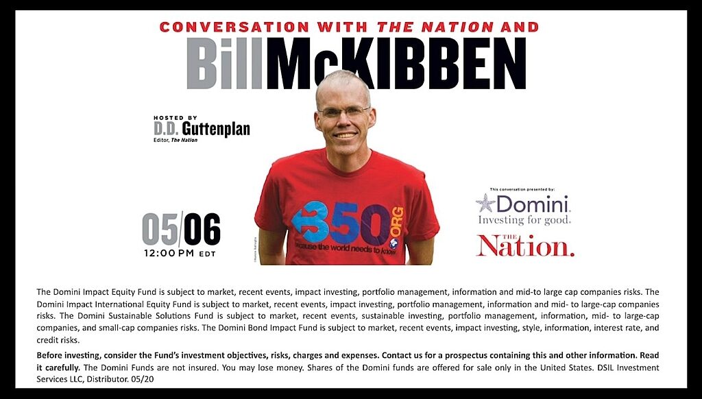 Click to enlarge bill mckibben green wash domini investments