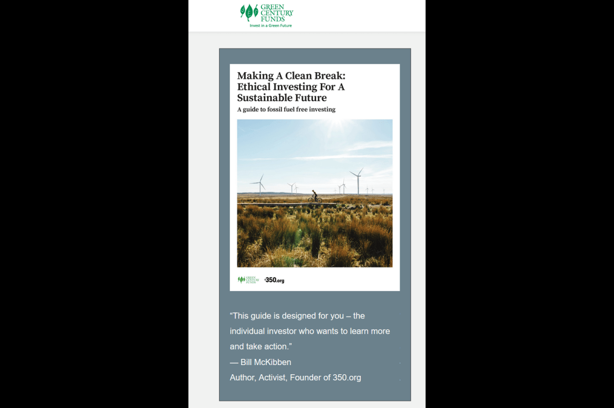 Click to enlarge .350.org greenwashing investment clean energy
