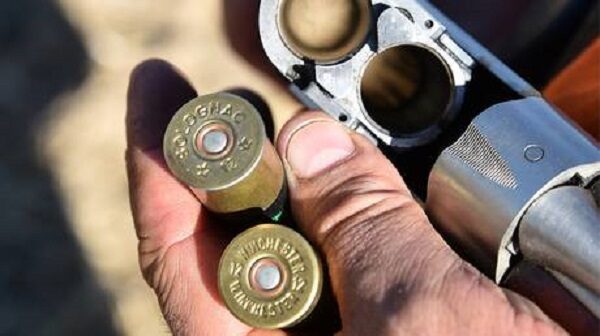 Gun and shells