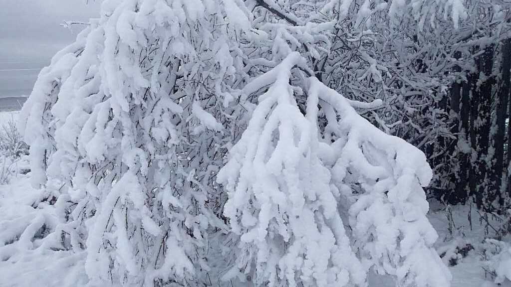 Snowfall hits N China´s Inner Mongolia Autonomous Region