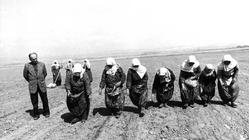 Click to enlarge peasant