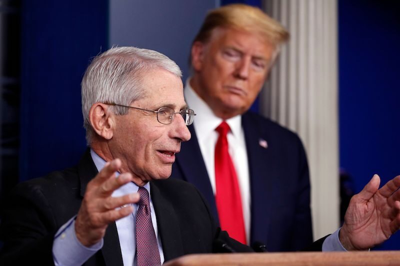 Click to enlarge Fauci Trump