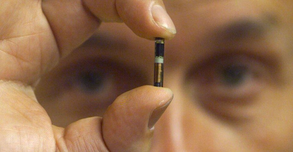 Microchip