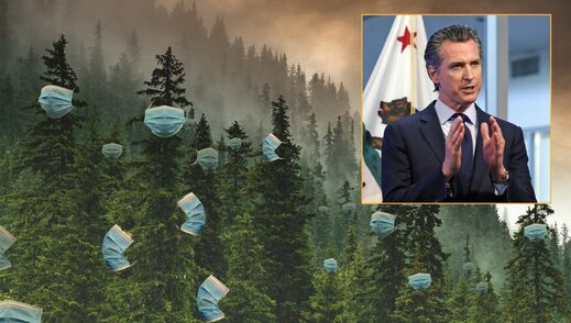 trees masks wildfires Newsome california
