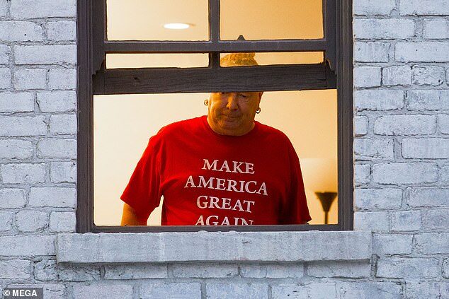 Click to enlarge johnny rotten john lydon maga