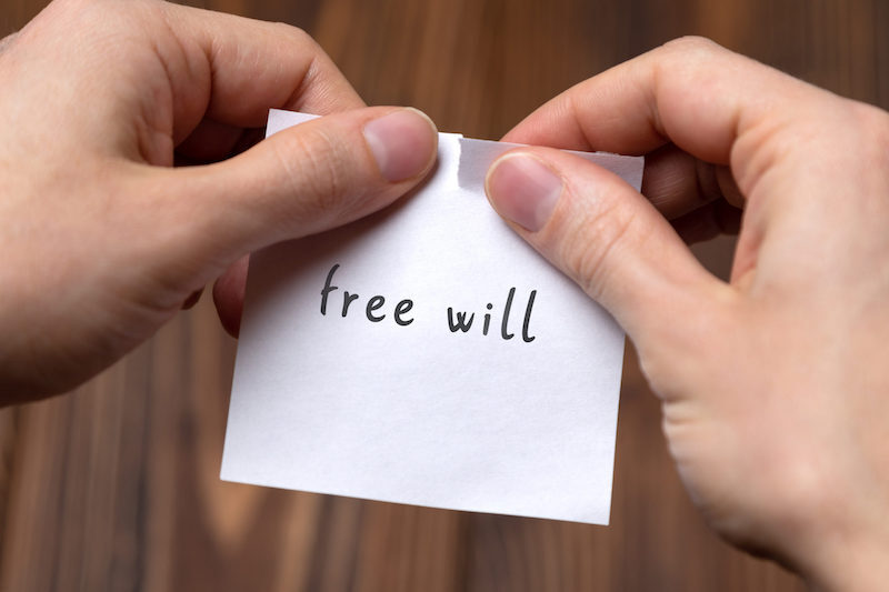 free will