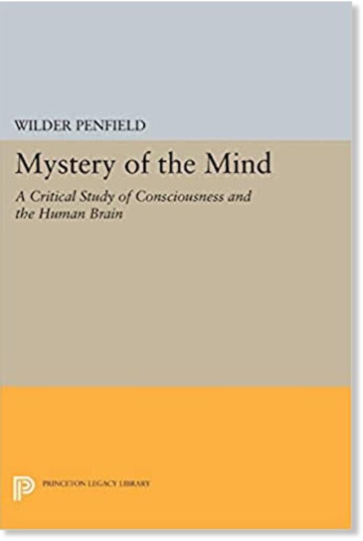 Click to enlarge Mystery of the Mind