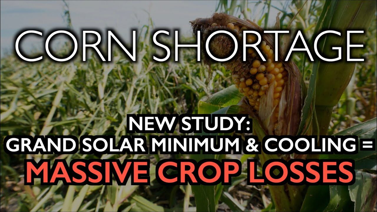 corn