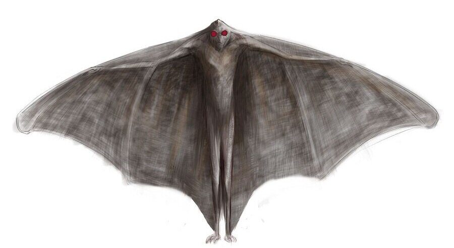 mothman