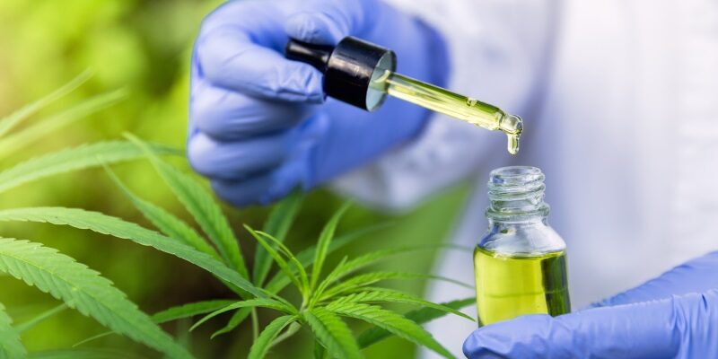 CBD oil