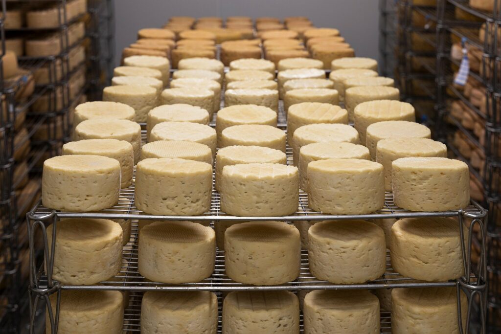 Dairy Products