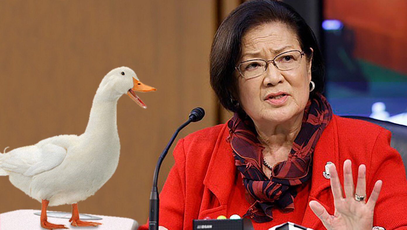 Click to enlarge hirono coney barret babylon bee satire duck witch