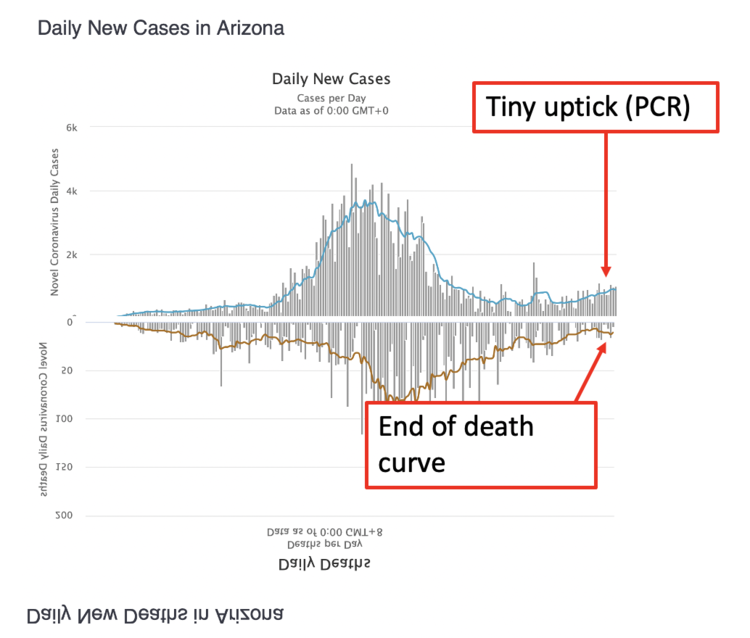 arizona cases