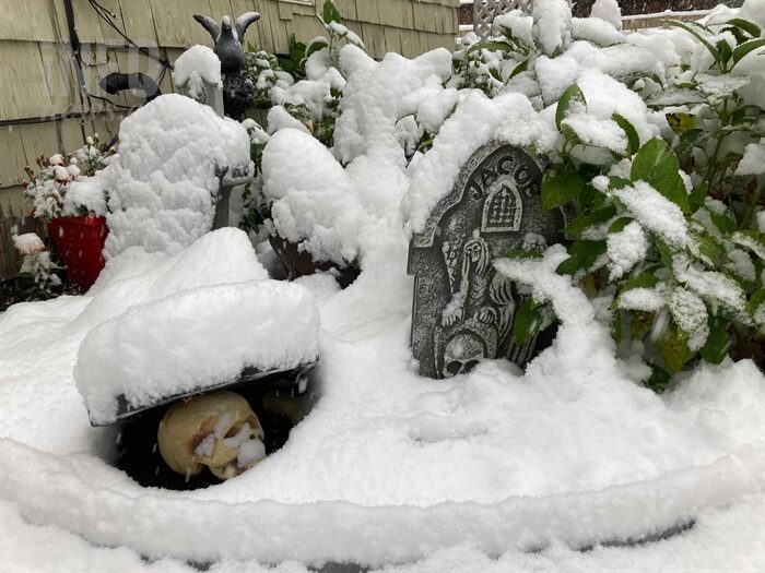 Snow