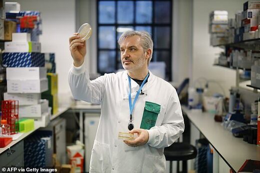 Flu cases 'drop' 98% around the world