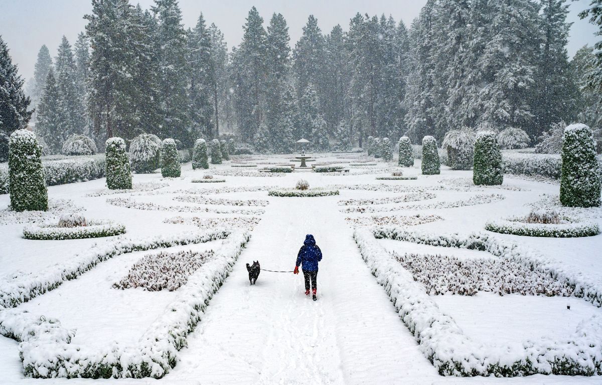 Click to enlarge Becky Schmidlkofer and her dog, Scout,