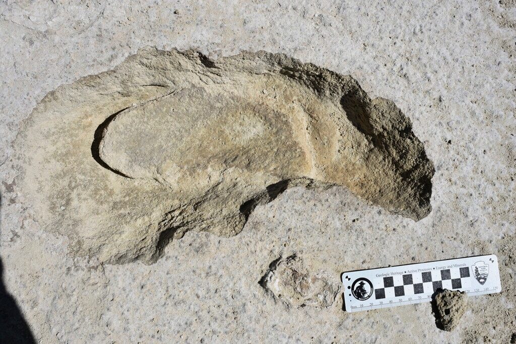 Click to enlarge human footprint giant sloth foot print