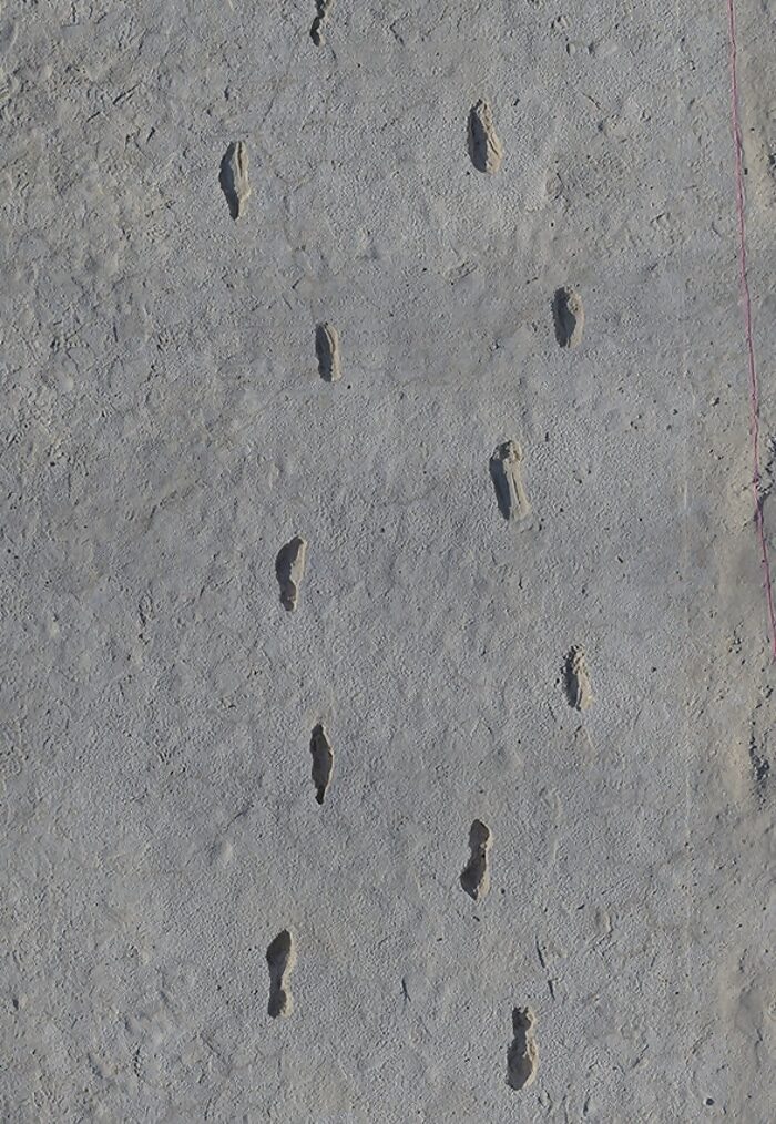 Click to enlarge fossil foot prints child white sands