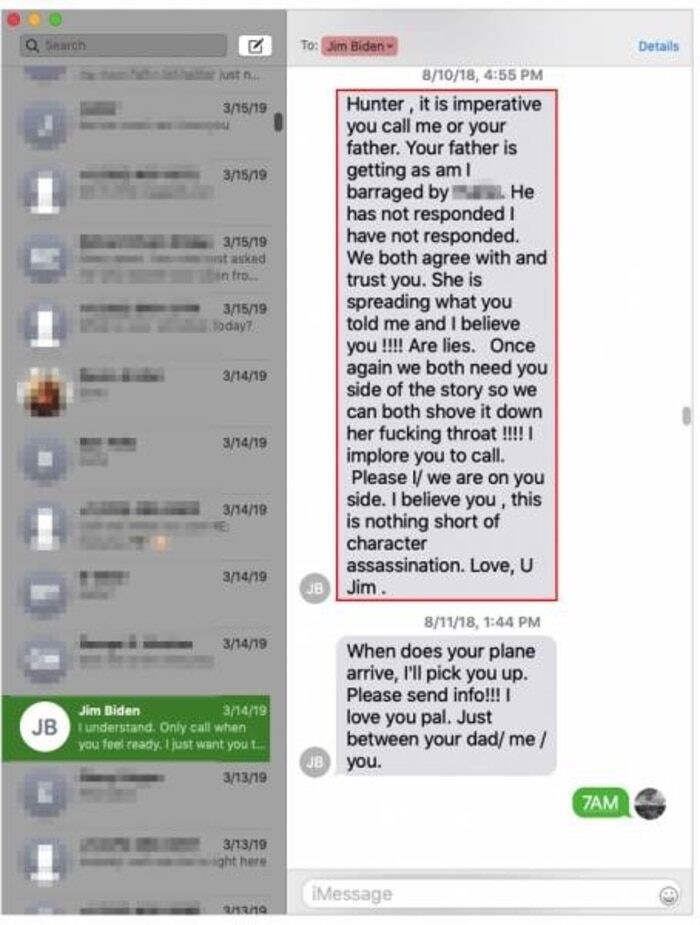 hunter biden child abuse Jim B text