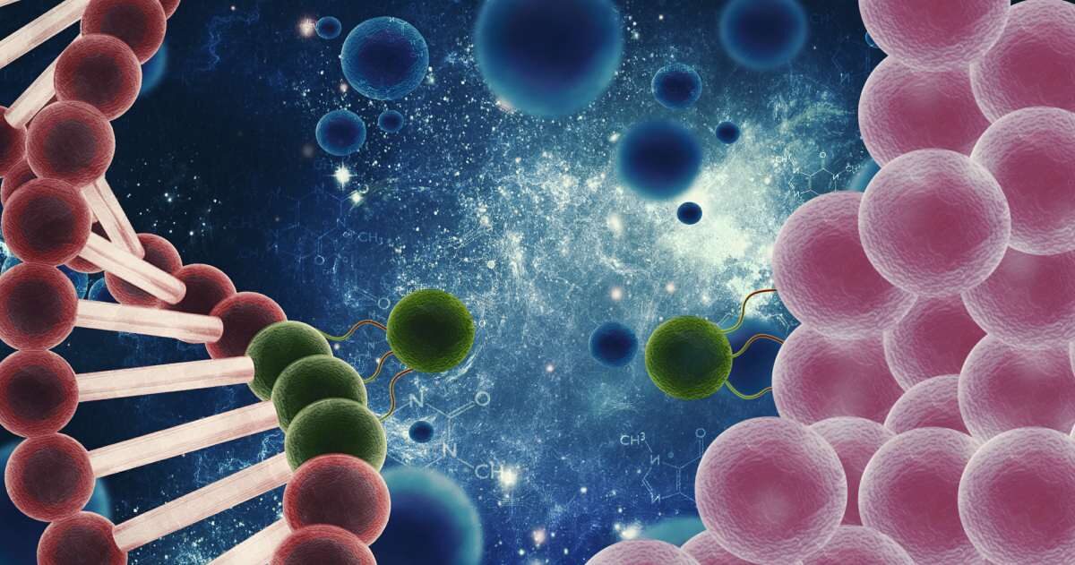 Exosomes