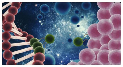 Exosomes