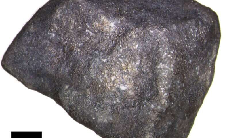 The meteorite fragment that fell on Strawberry Lake which contains pristine extraterrestrial organic compounds