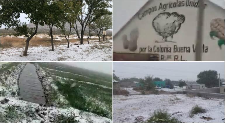 Click to enlarge Inhabitants of the municipalities of Janos and Ascensión , in the northwest of the state of Chihuahua , shared images of the snowfall this morning on October 27
