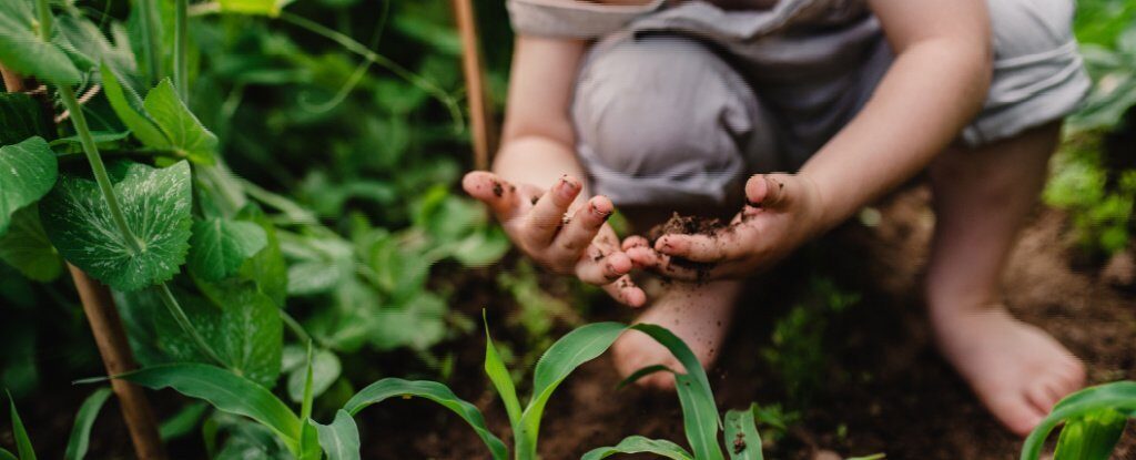 child play dirt immune system