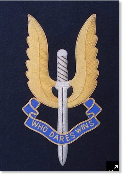Click to enlarge The SAS logo: Who Dares WinsCredit: