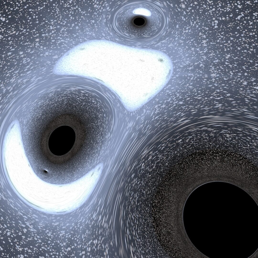 Black Holes