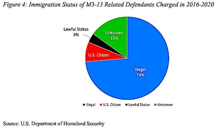 immigration status chart