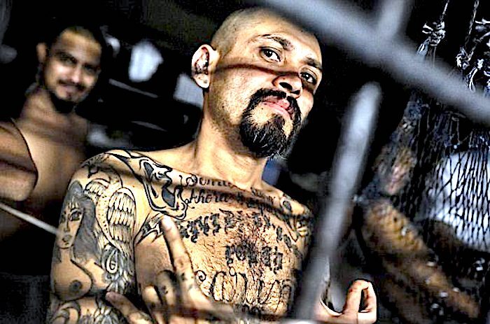 MS-13 gang member