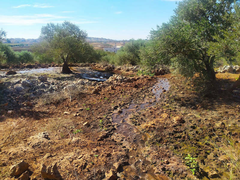 Click to enlarge the village of Deir Ballut