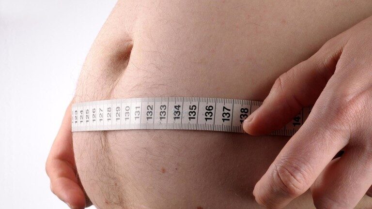 wheat belly