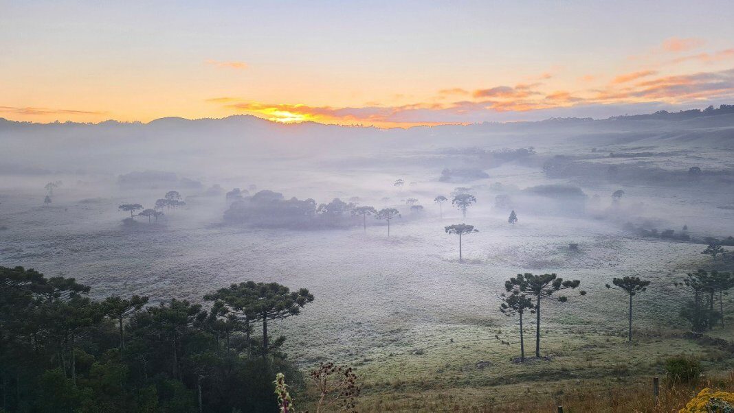 Click to enlarge frost
