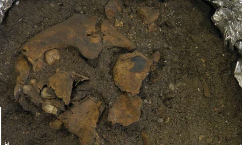 Click to enlarge child burial indonesia