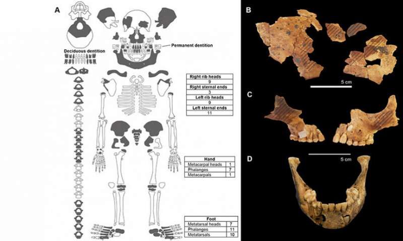 child burial indonesia