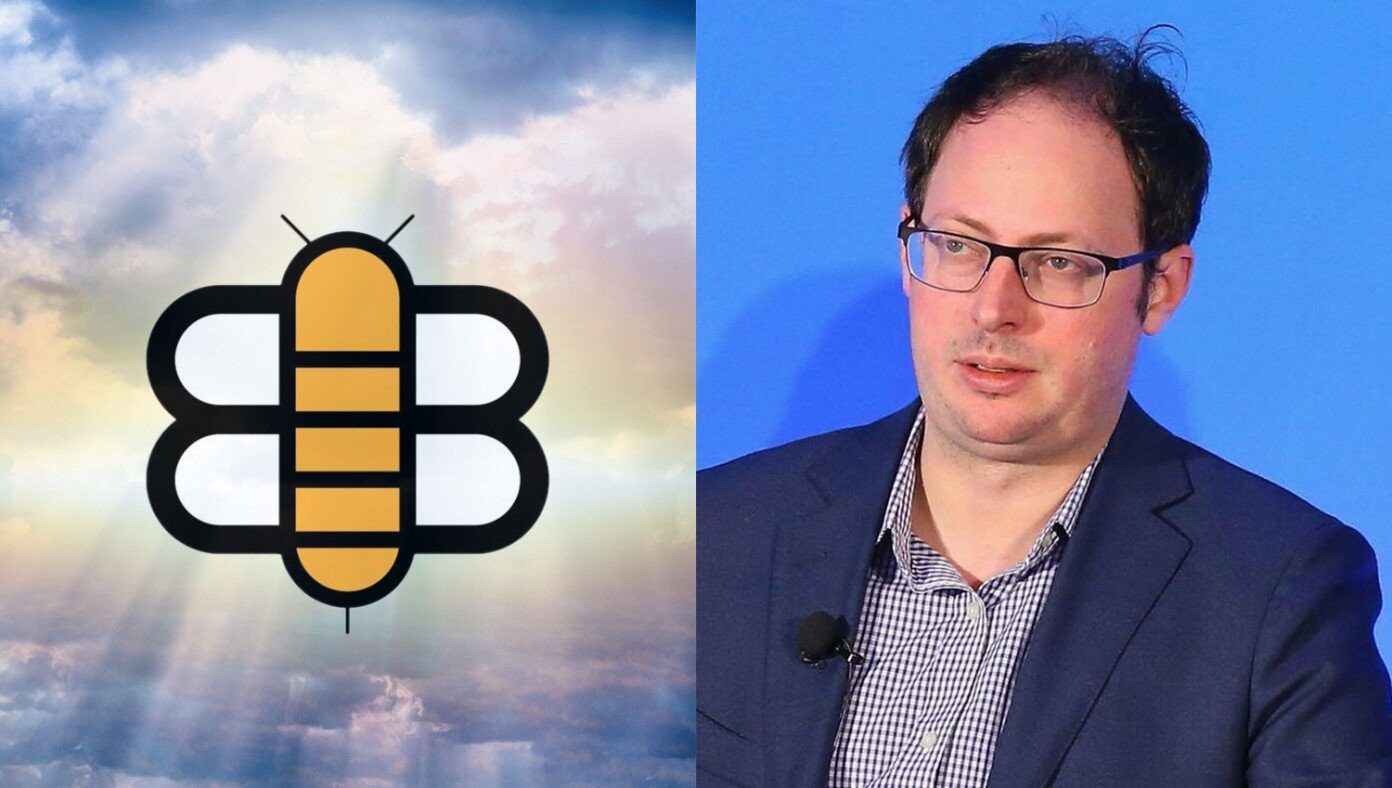 babylon bee polster