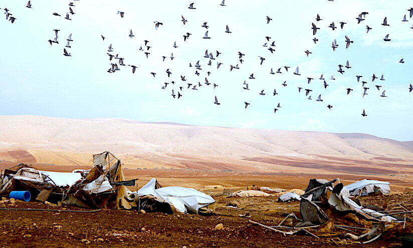 Destroyed homes