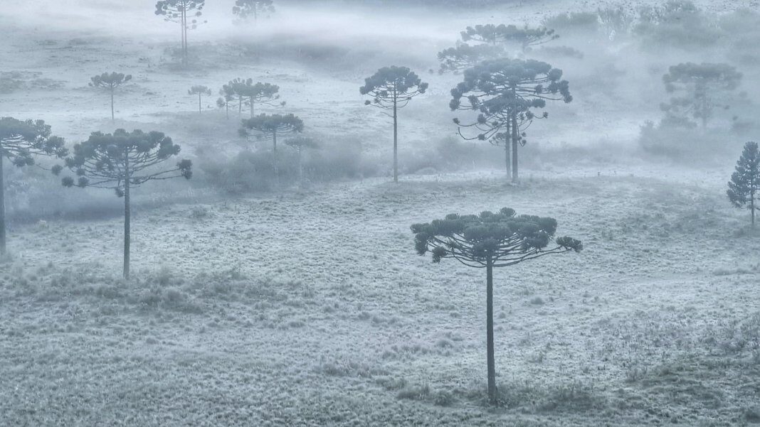 frost