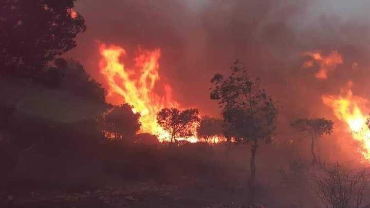 Click to enlarge wildfire