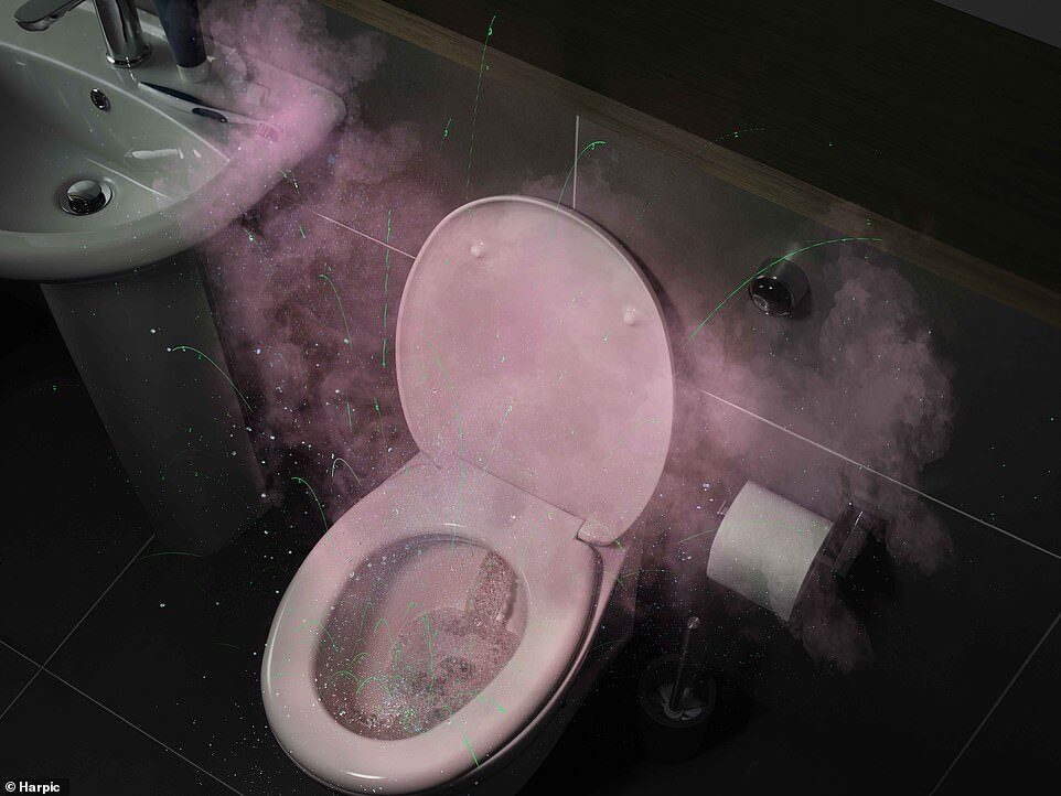 Click to enlarge One flush of a toilet produces thousands