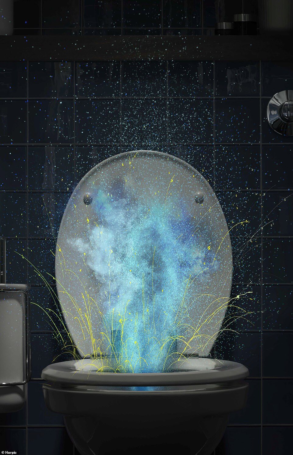 Click to enlarge toilet water 2