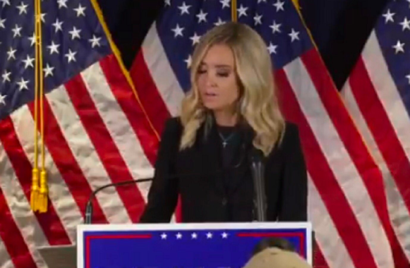 kayleigh mcenany