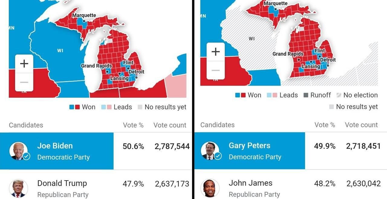 Georgia Michigan votes