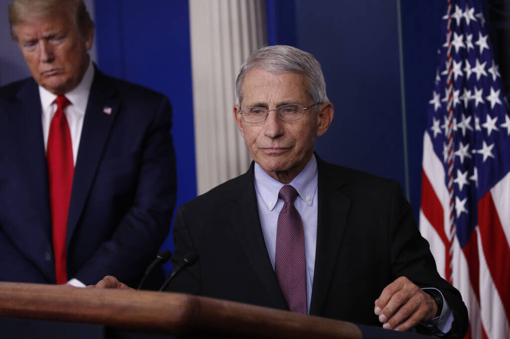 Click to enlarge Fauci