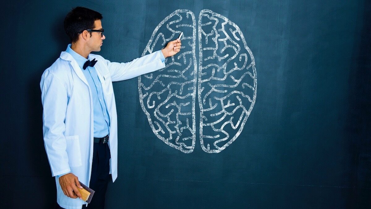 Click to enlarge Brain Study